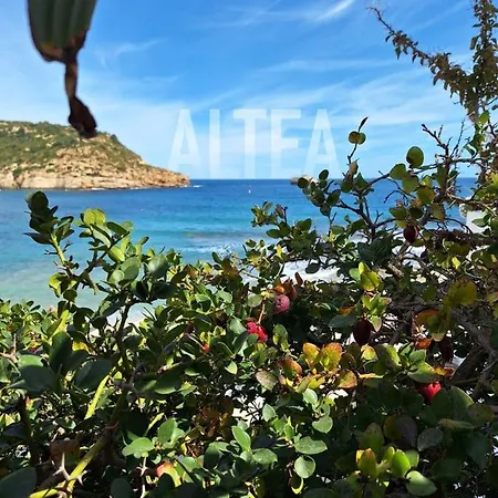 Casa Eline De Lujo Casco Antiguo Piscina Privada Y Jardin Nyaraló Altea