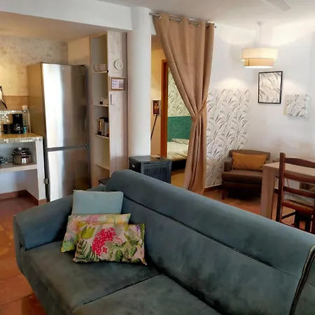 Casa Eline De Lujo Casco Antiguo Piscina Privada Y Jardin *