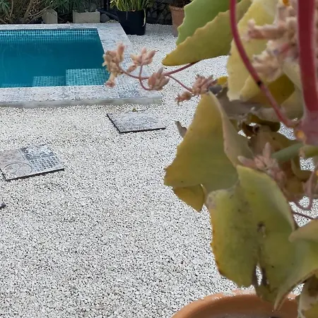Casa Eline De Lujo Casco Antiguo Piscina Privada Y Jardin * Altea