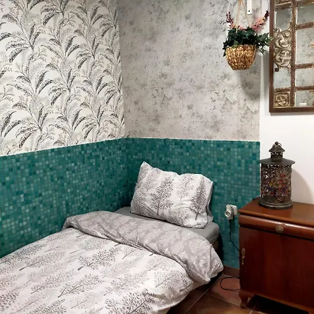 Casa Eline De Lujo Casco Antiguo Piscina Privada Y Jardin