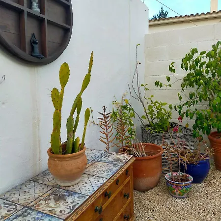 펜션 Casa Eline De Lujo Casco Antiguo Piscina Privada Y Jardin
