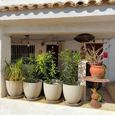 펜션 Casa Eline De Lujo Casco Antiguo Piscina Privada Y Jardin